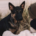 Load image into Gallery viewer, Zgarda Sprenger tip lant din inox, cu carabiniera tip carlig – ideala pentru caini in crestere