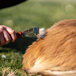 Load image into Gallery viewer, Perie pe 2 fețe – mâner din lemn cu dinți din oțel inoxidabil