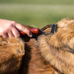 Load image into Gallery viewer, Perie pe 2 fețe – mâner din lemn cu dinți din oțel inoxidabil