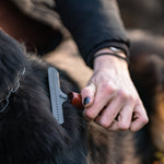 Load image into Gallery viewer, Greblă pentru câini – acoperită cu oțel, 1 rând