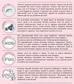 Load image into Gallery viewer, Hrana Uscata Pisica Natura Low Grain Pentru Pisicuțe cu Pui și Afine