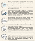 Load image into Gallery viewer, Mostra Hrana Uscata Pisica Natura Low Grain Sterilizata cu Somon, Hamsii și Merișor-Afine 200g