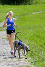 Load image into Gallery viewer, Set de alergare cu centură și lesă cu amortizor pentru câini