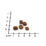 Load image into Gallery viewer, NutriQM M!EAT (câine adult), 1,5 kg