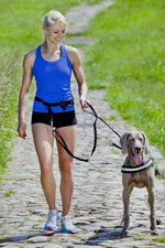 Load image into Gallery viewer, Set de alergare cu centură și lesă cu amortizor pentru câini