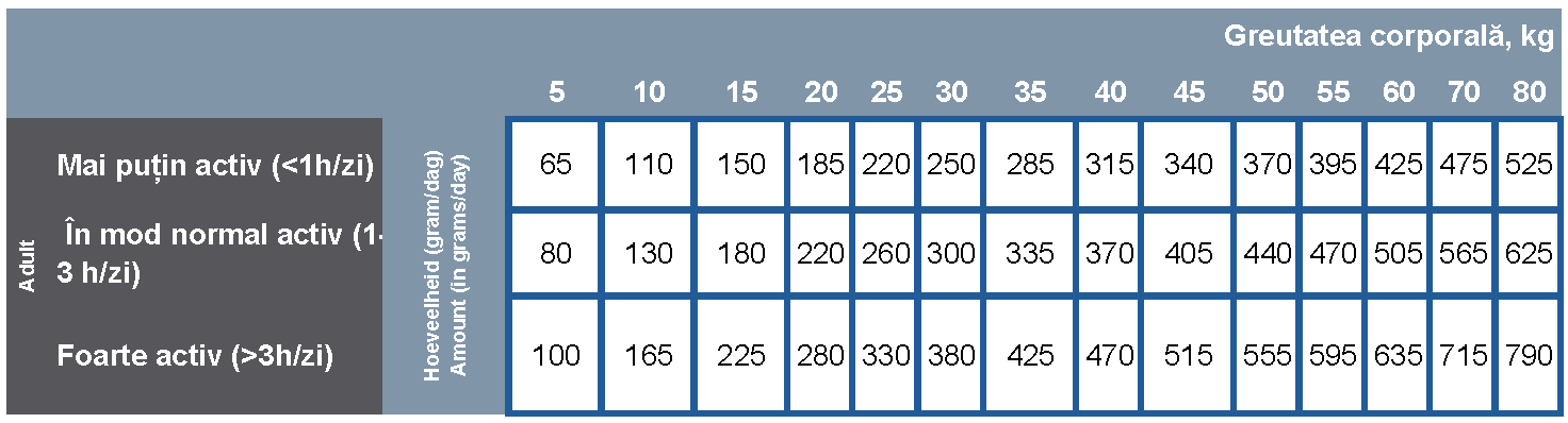 ProCare Senior Support