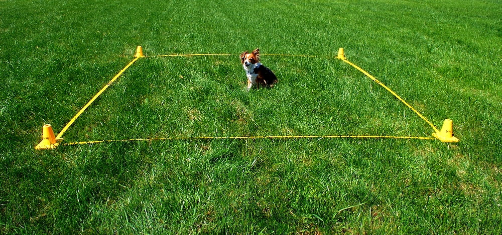 Con, marker pentru obedience – set de 4 bucăți