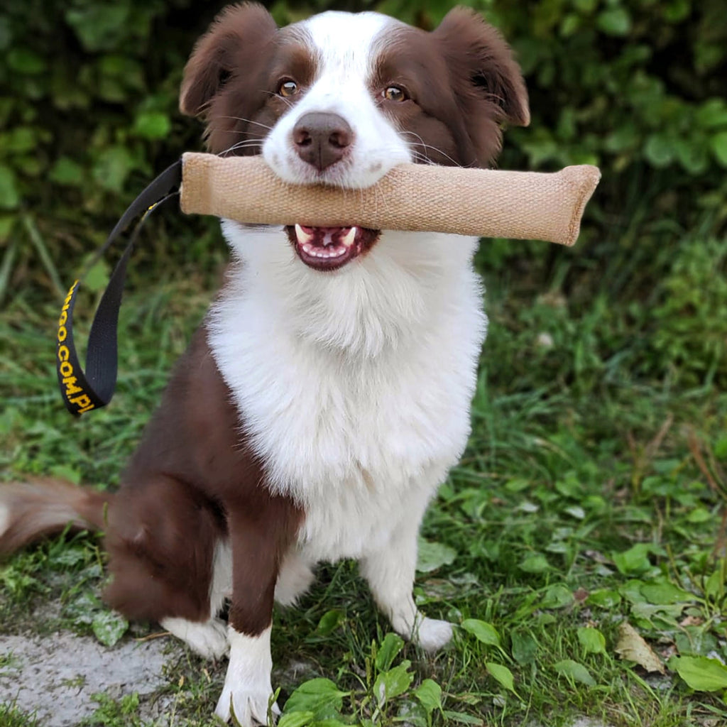 Manșon de dresaj din iută cu mâner 6,0 x 28 cm