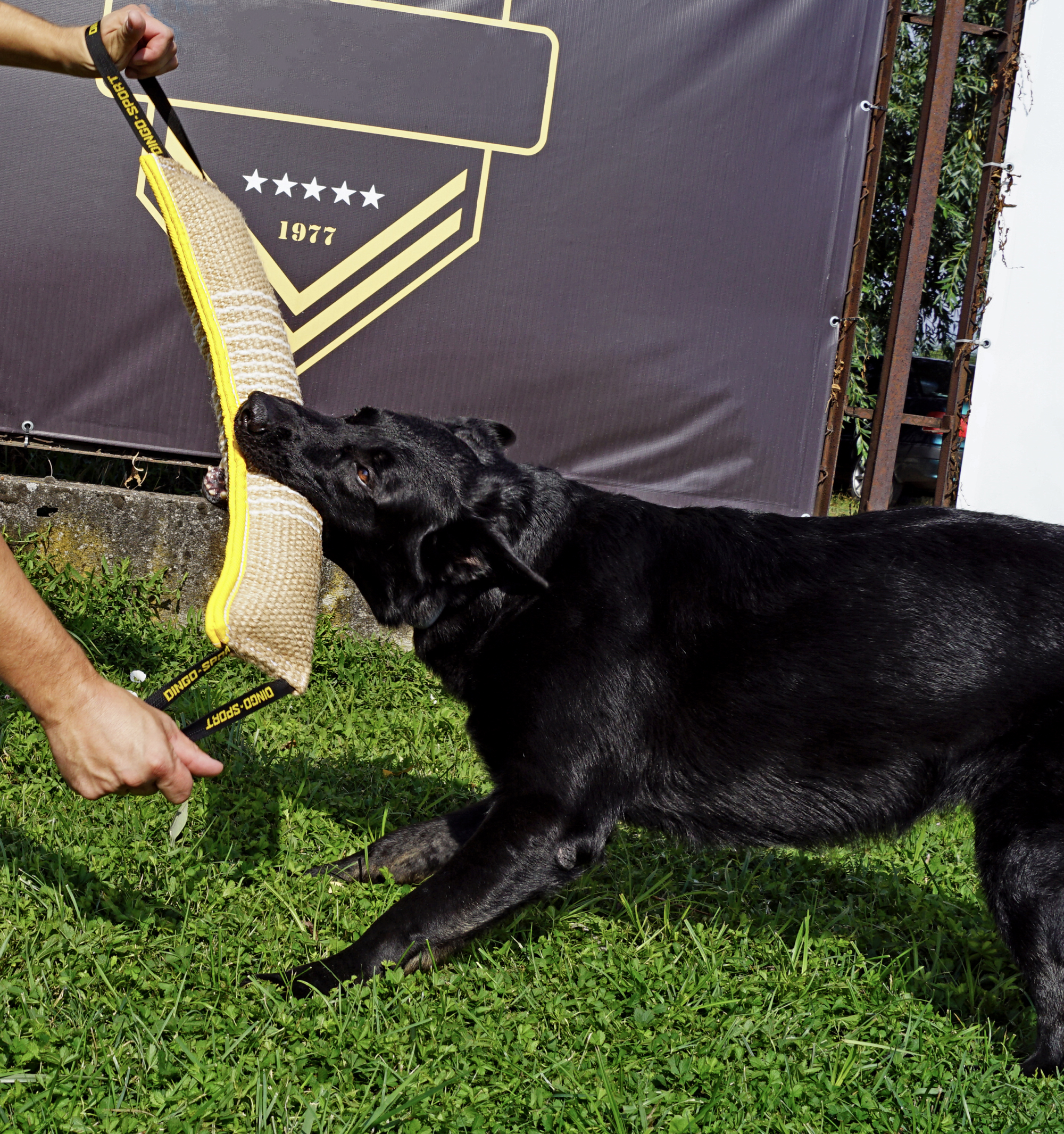 Jucărie de tras din iută cu două mânere cusute lateral mare