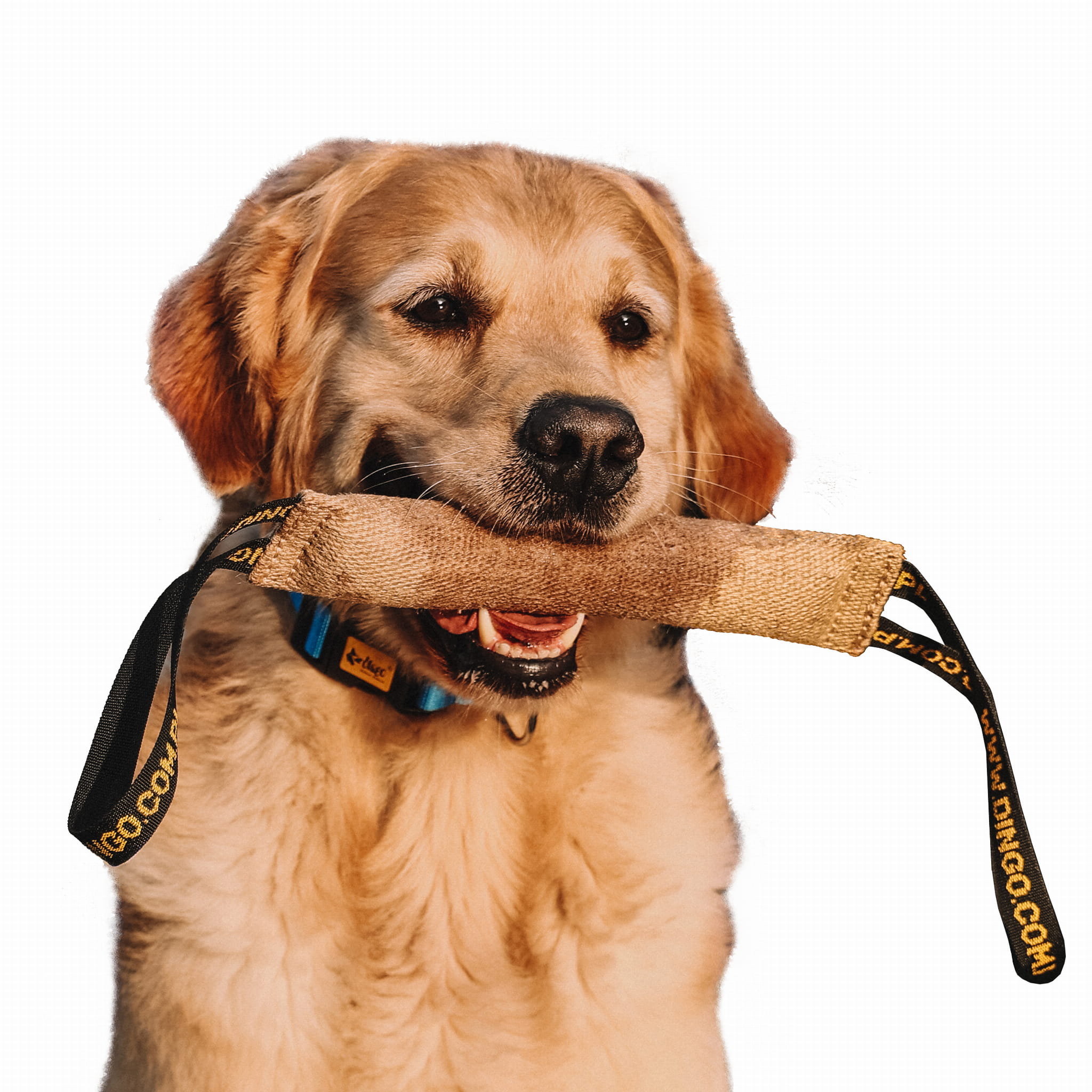 Manșon de dresaj din iută cu 2 mânere 6,0 x 40 cm