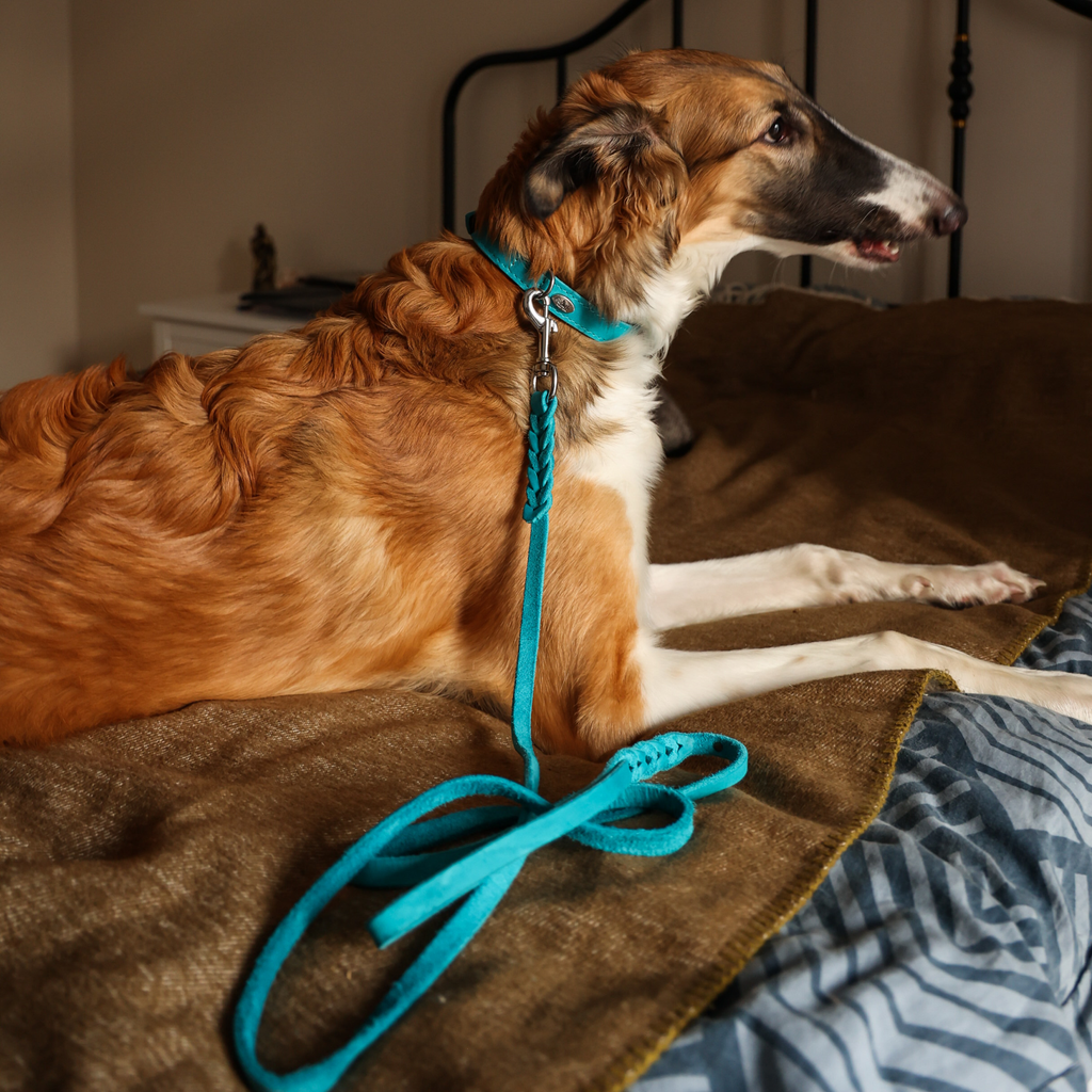 Lesă premium din piele moale