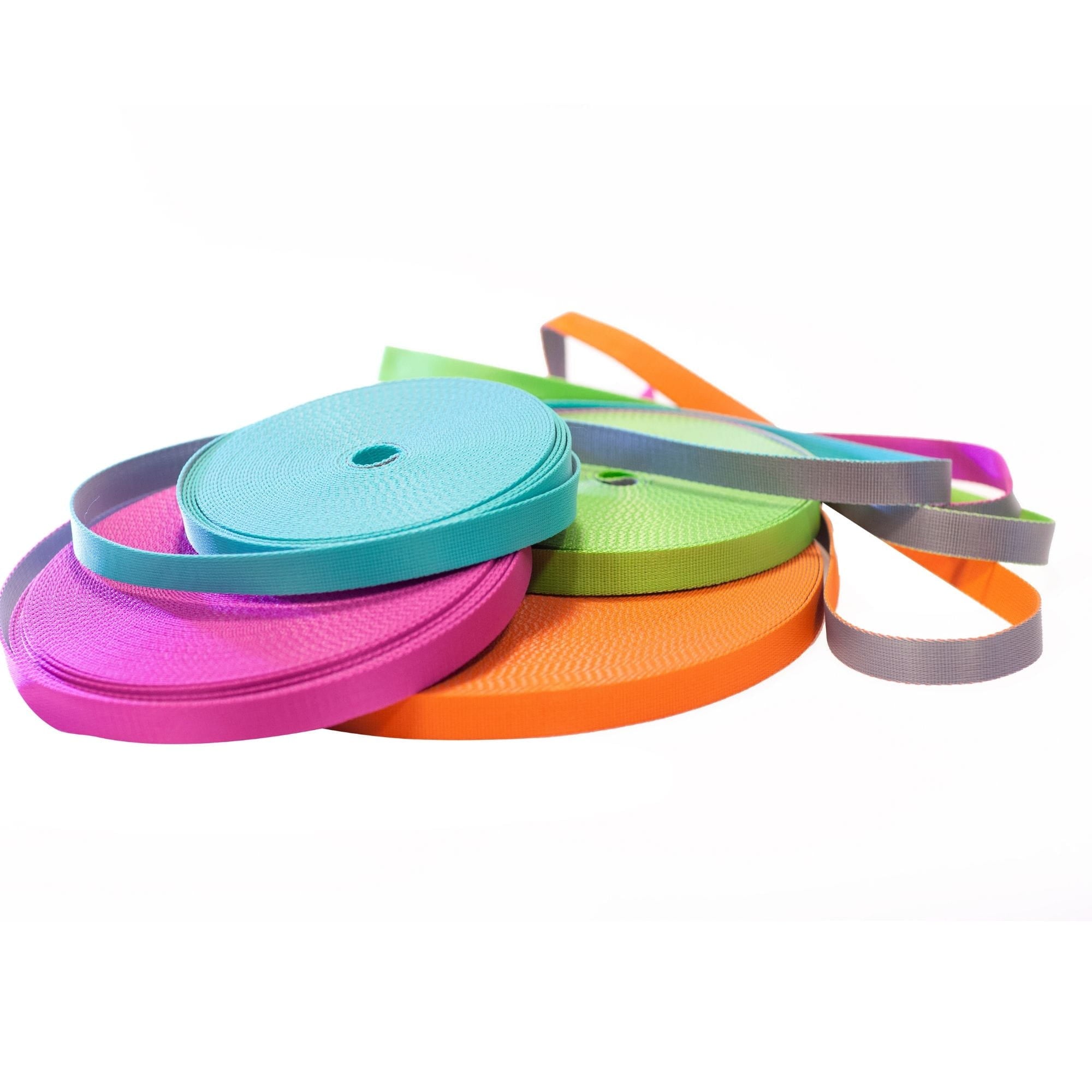 Lesă pentru câini City Energy Silver