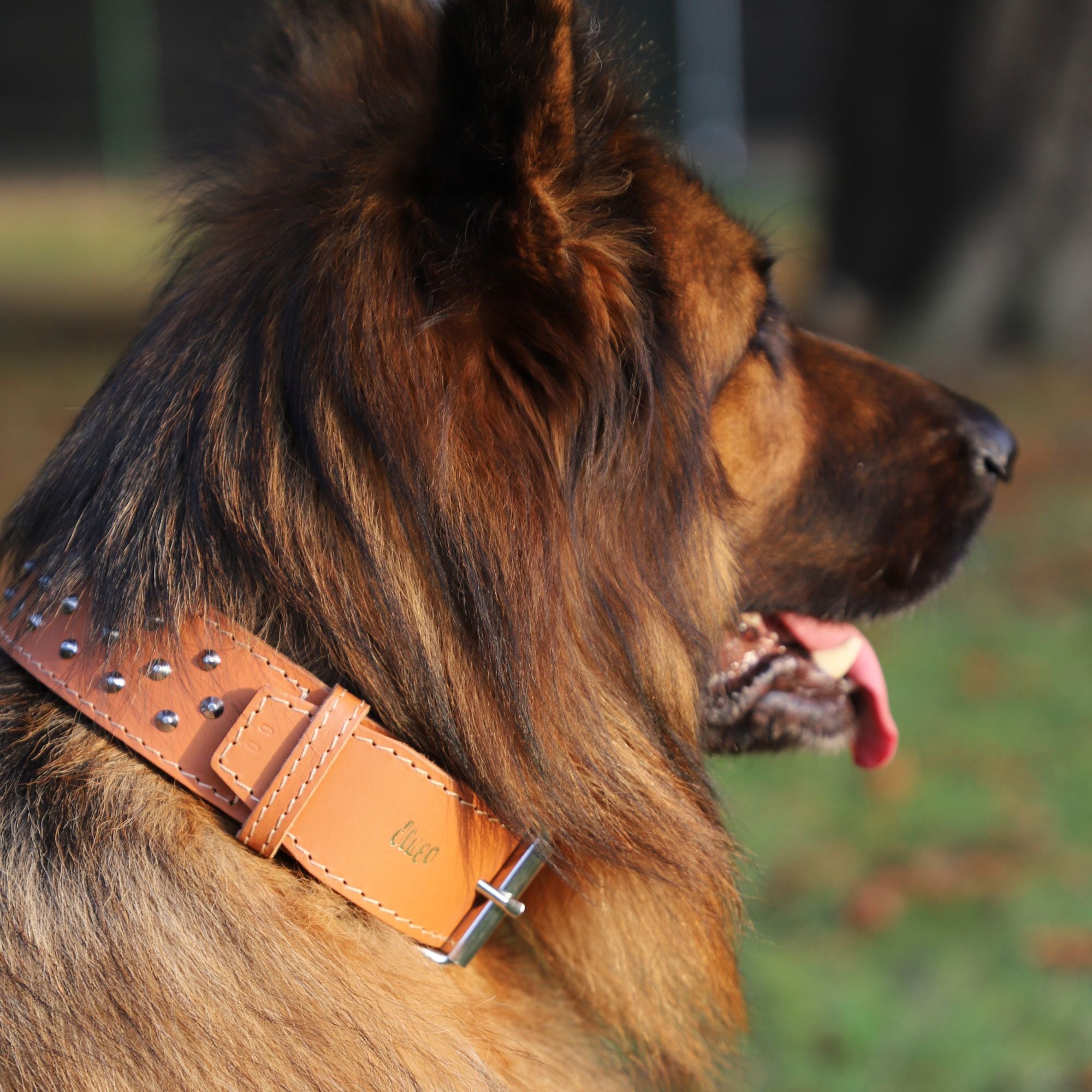 Zgardă clasică presată triplu