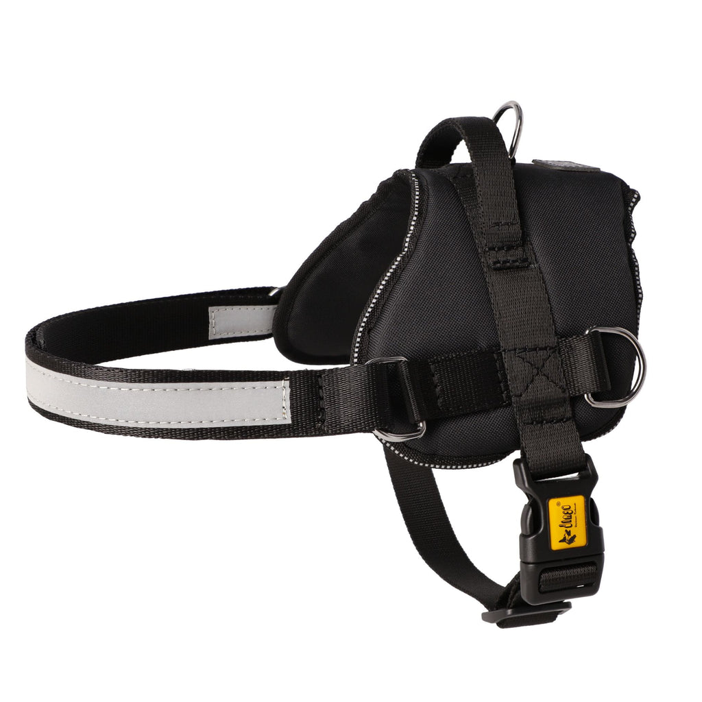 Ham pentru câini din bandă STRONG