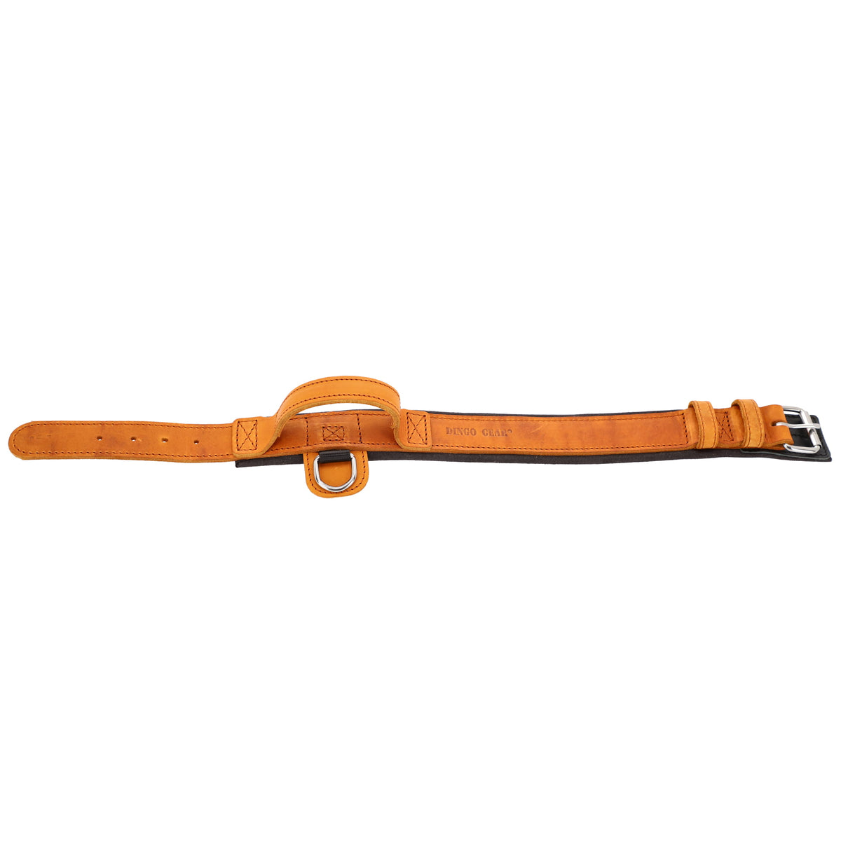 Dingo Gear – Zgardă DRAGO – precizie din piele în slujba dresajului profesional