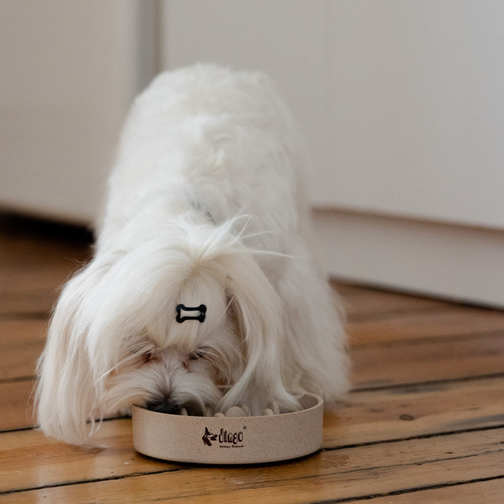 Bol anti-înghițire lentă din bambus pentru câini