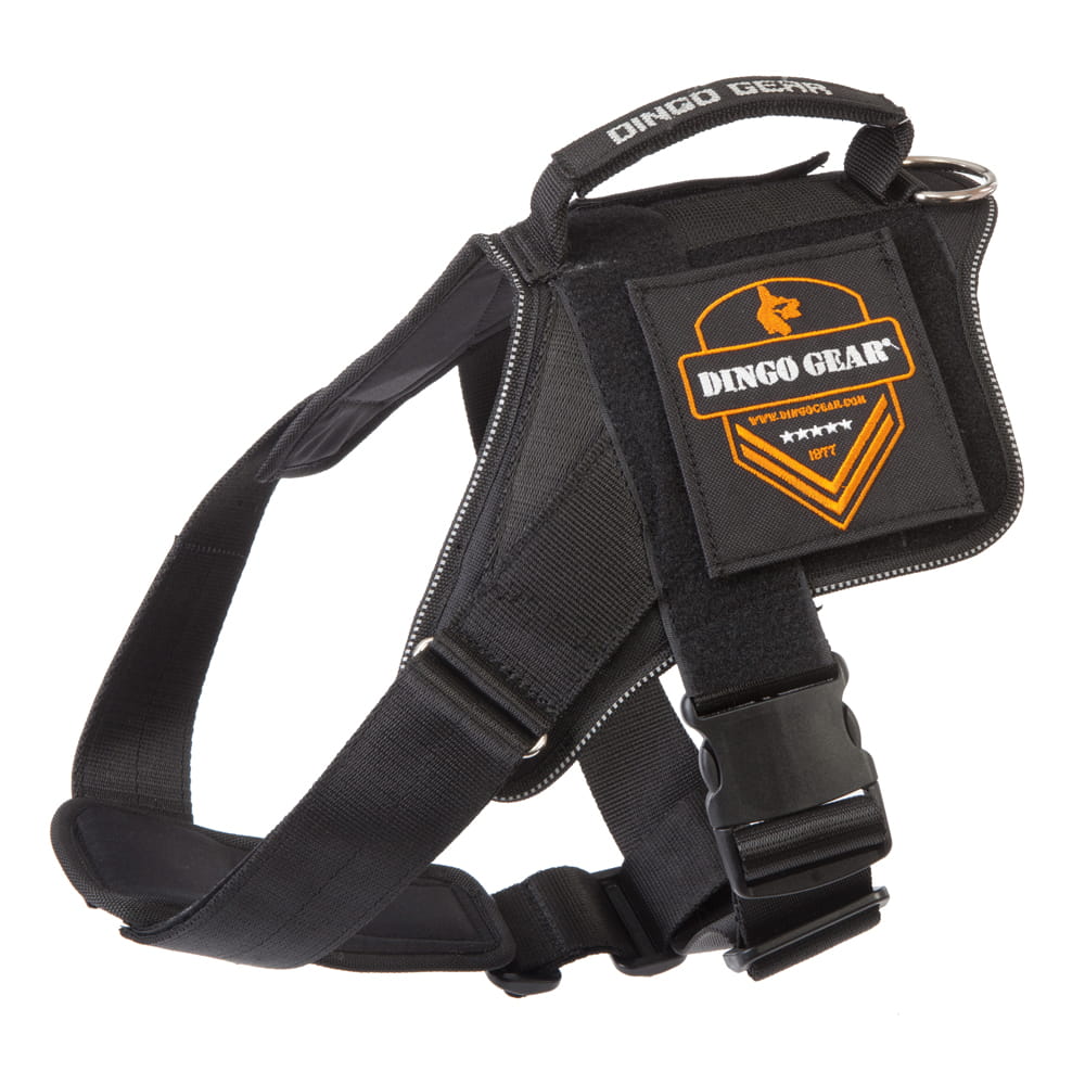 Dingo Gear – Ham multifuncțional pentru câini destinat patrulării și antrenamentului tactic