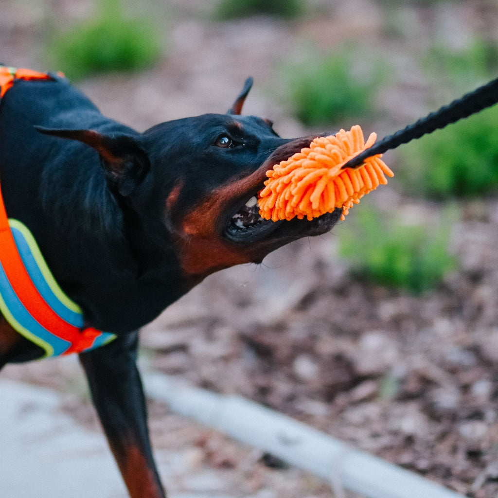 Jucărie de tras cu mâner elastic