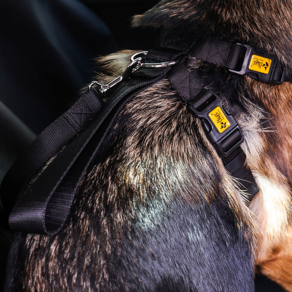 Ham de siguranță pentru câini pentru mașină