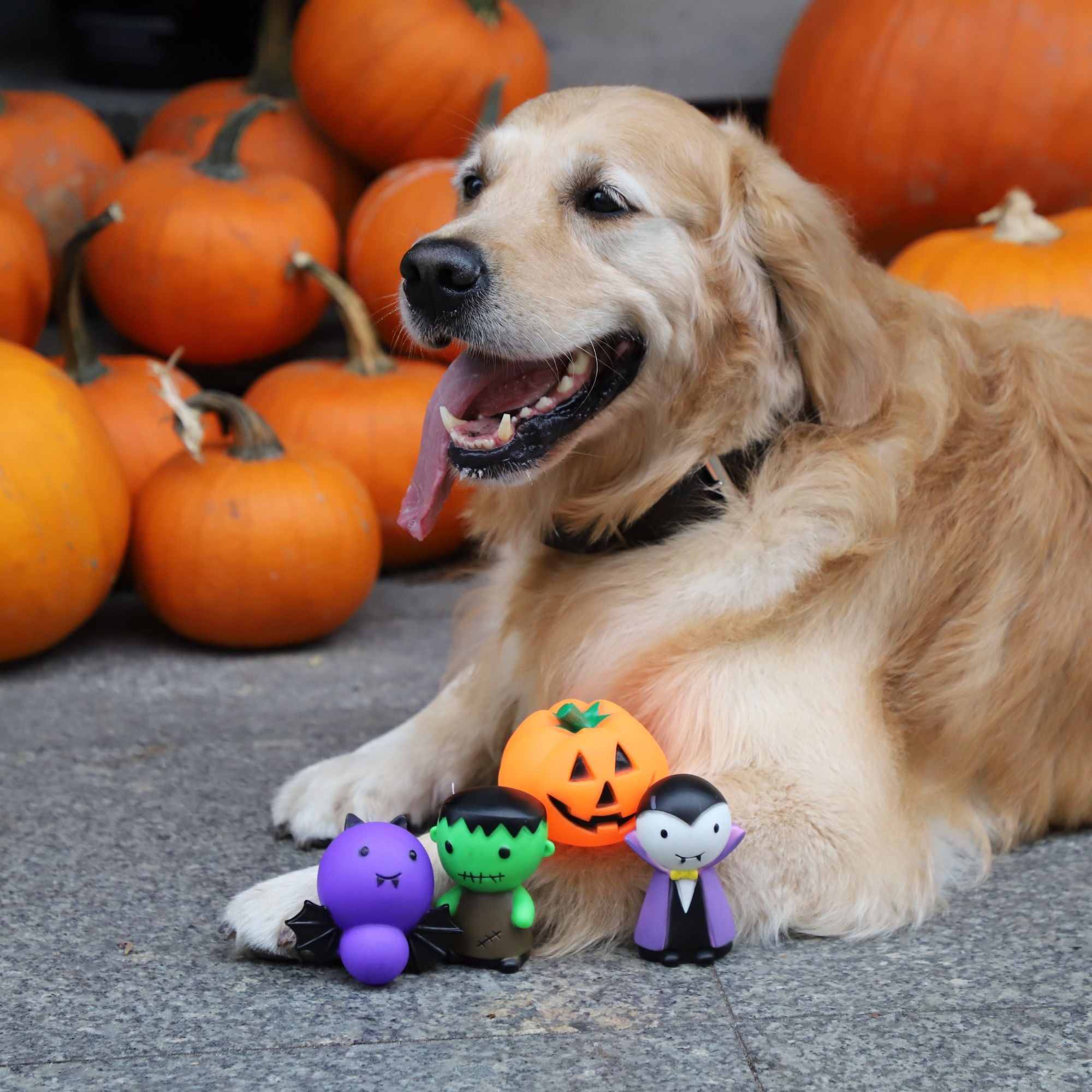 Jucărie pentru câine Dracula