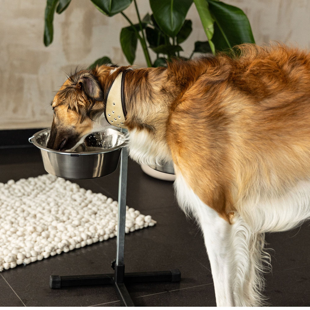 Set: 2 boluri cu reglare pe înălțime