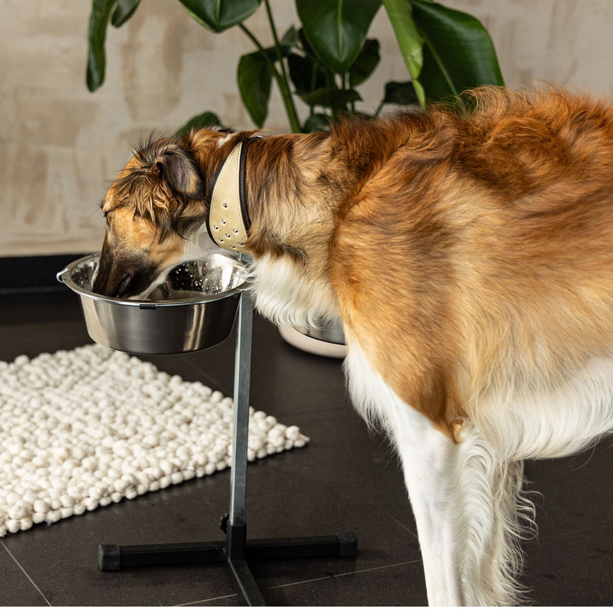 Set: 2 boluri cu reglare pe înălțime