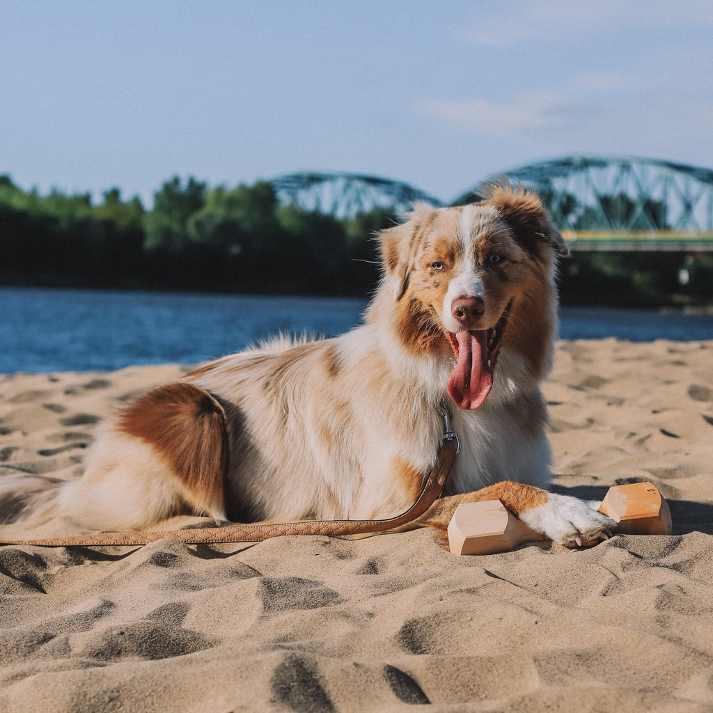 Os din lemn pentru aport