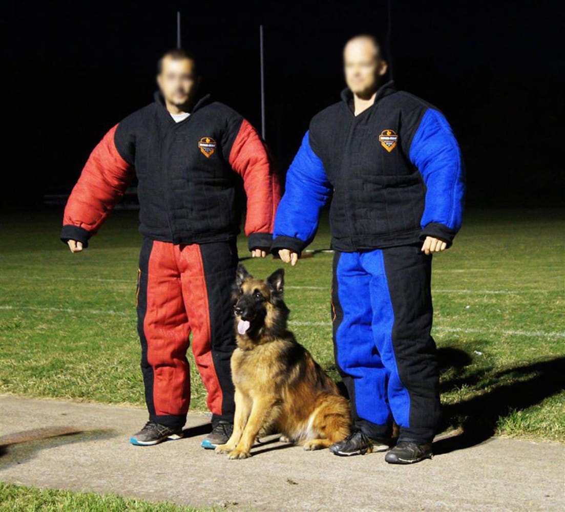 Dingo Gear – Costum de protecție completă pentru mușcătură (full bite)