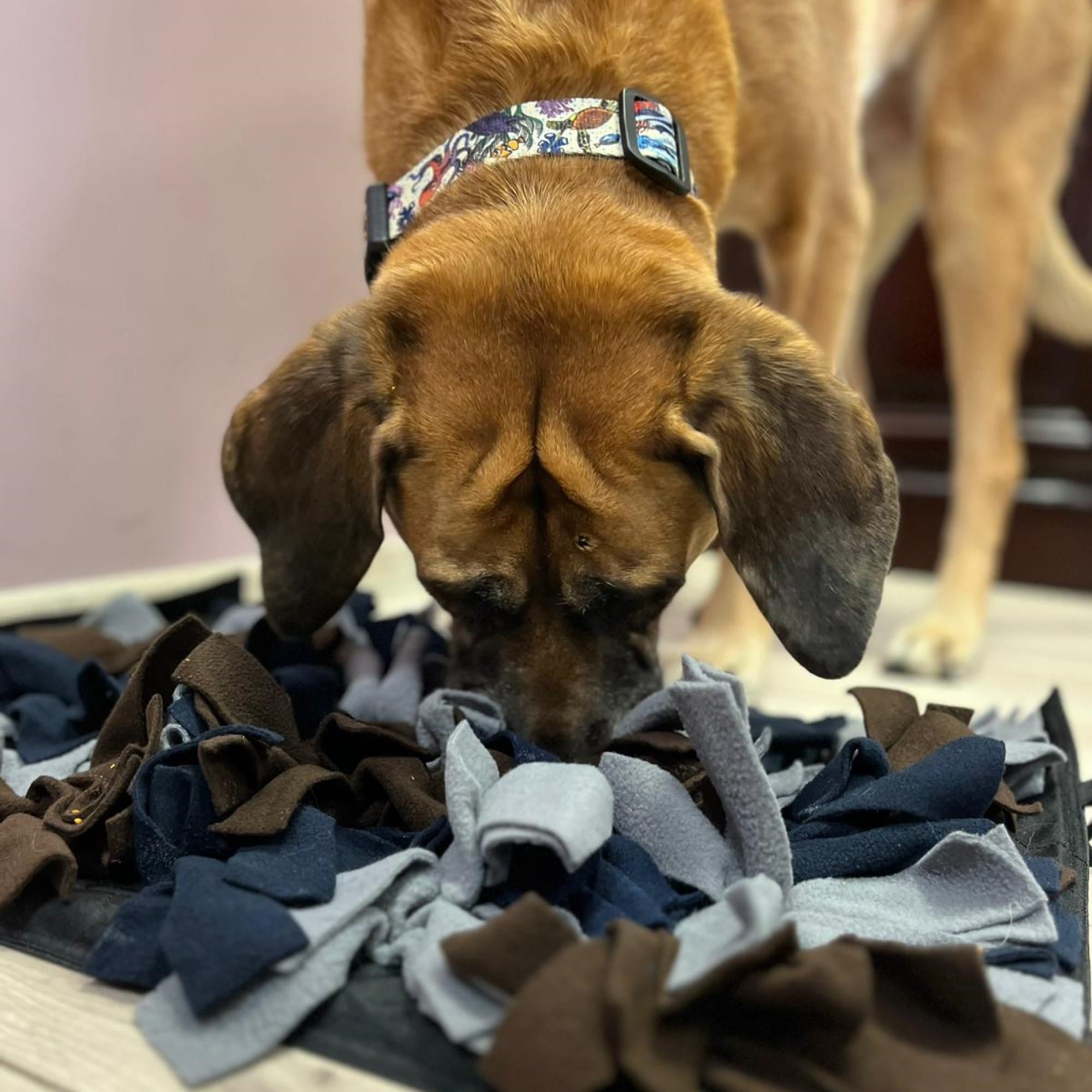 Covoraș de adulmecat 60 × 40 cm