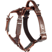 Dingo Gear – Ham profesional din piele cu cataramă COBRA – rezistență, siguranță, fiabilitate