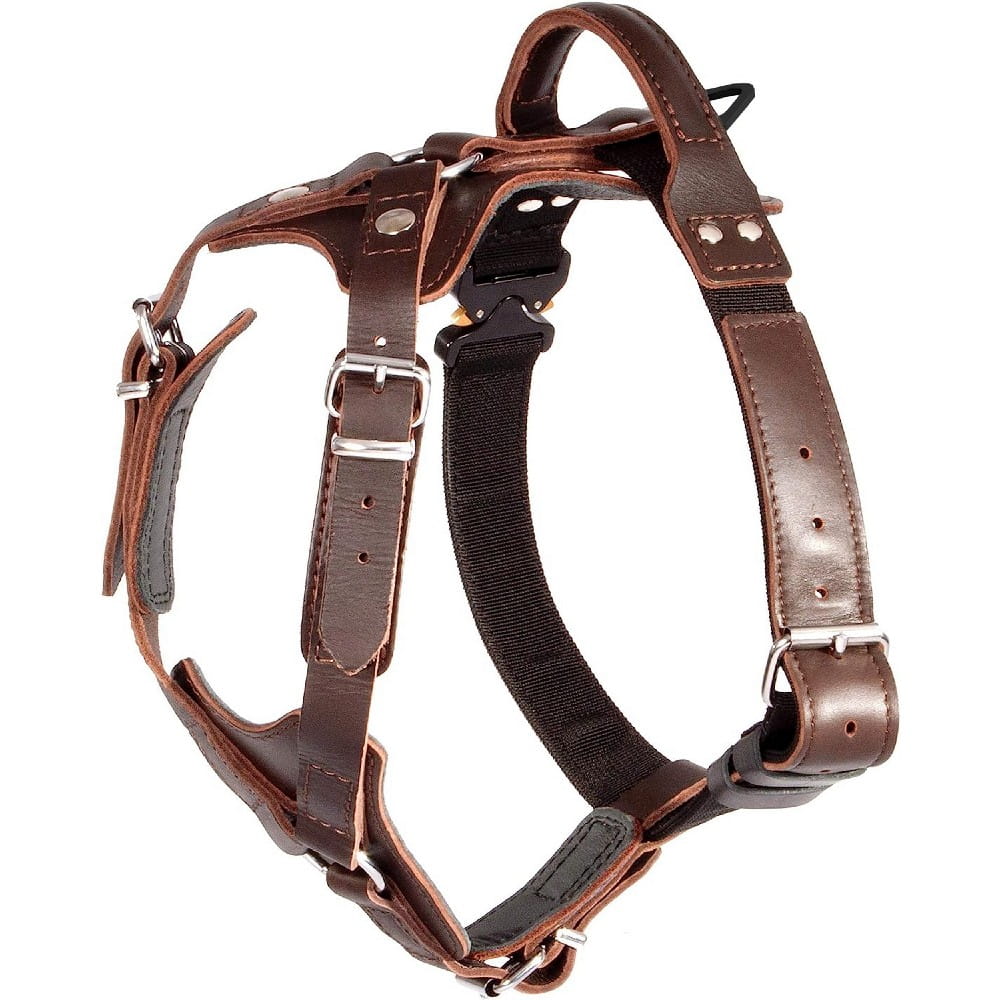 Dingo Gear – Ham profesional din piele cu cataramă COBRA – rezistență, siguranță, fiabilitate