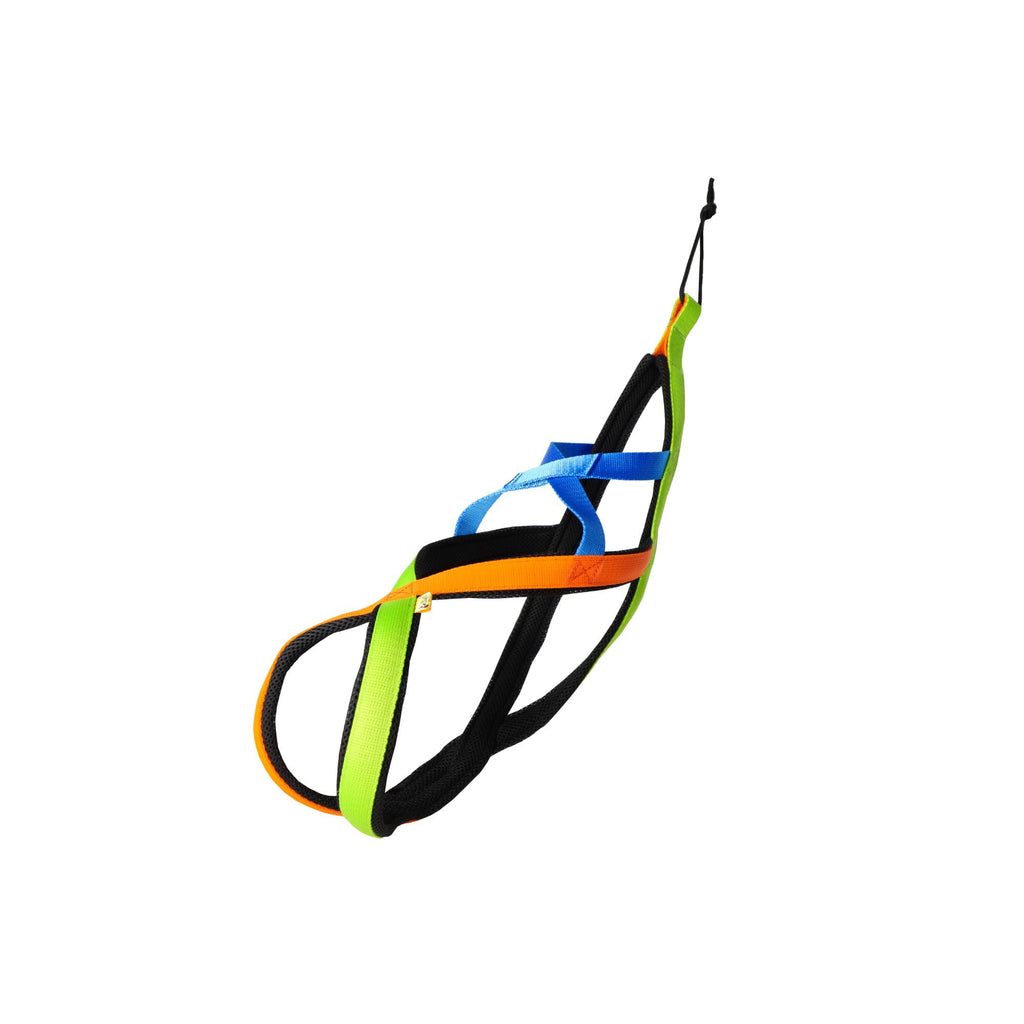 Ham Active SLED