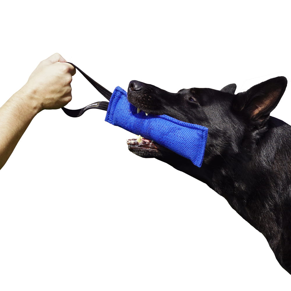 Dingo Gear – Jucărie de tracțiune pentru câini din Nylcot cu un mâner