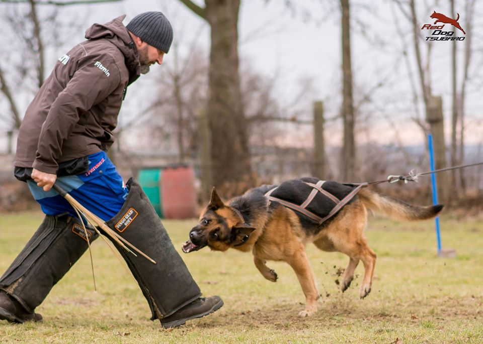 Dingo Gear – manșon lung de picior pentru dresaj din Nylcot, duritate SOFT