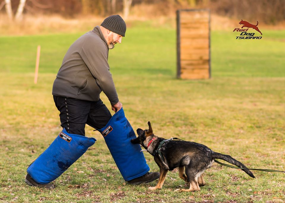 Dingo Gear – manșon lung de picior pentru dresaj din Nylcot, duritate SOFT