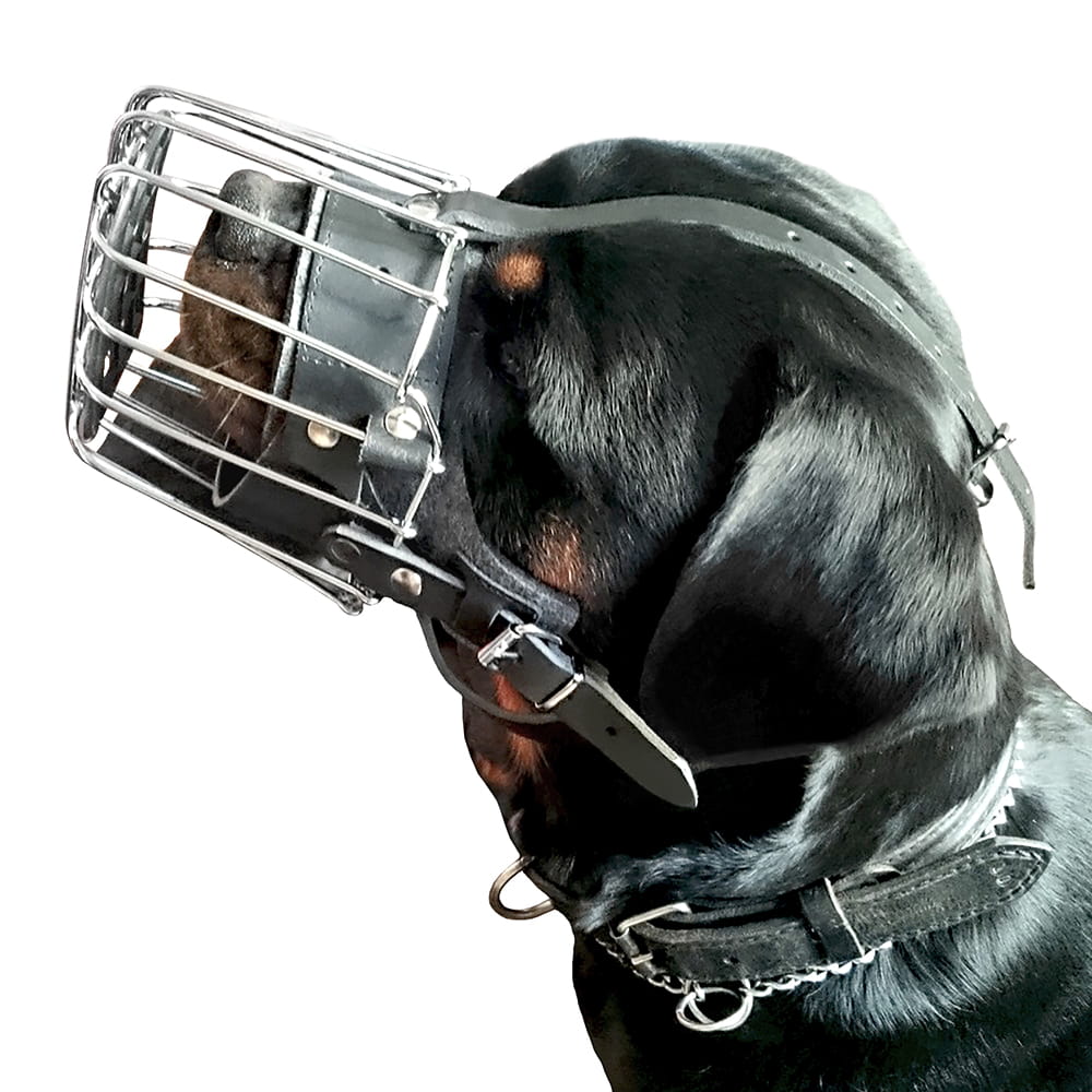 Dingo Gear – Botniță metalică întărită pentru Rottweiler