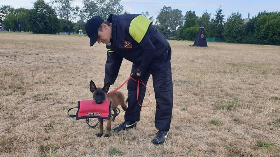Dingo Gear – pană de mușcătură din Nylcot moale, mărime MEDIUM