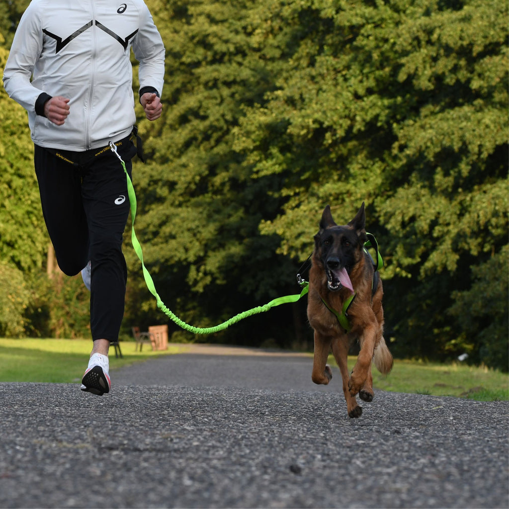 Centură de alergare 4 în 1