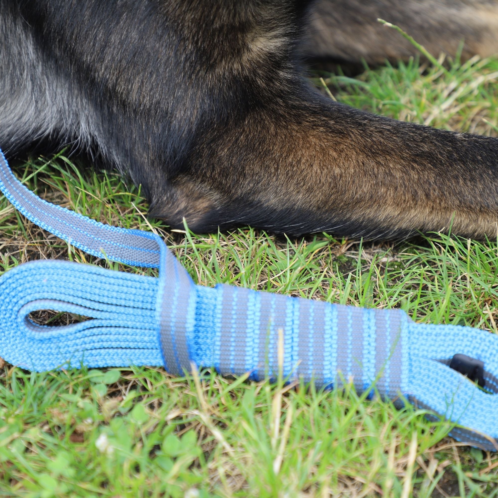 Lesă de antrenament cauciucată fără mâner