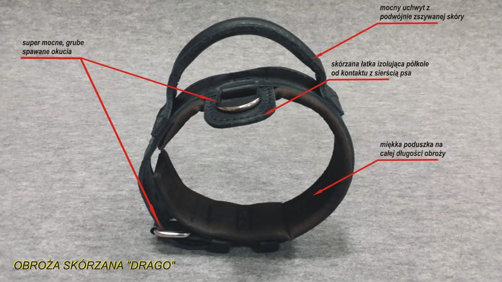 Dingo Gear – Zgardă DRAGO – zgardă K9 din piele cu mâner pentru dresaj profesional