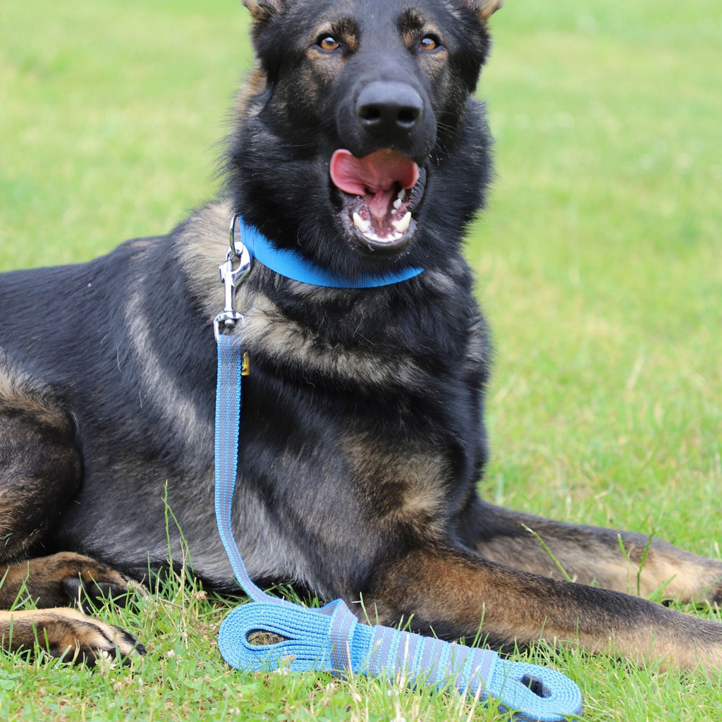 Lesă de antrenament cauciucată fără mâner