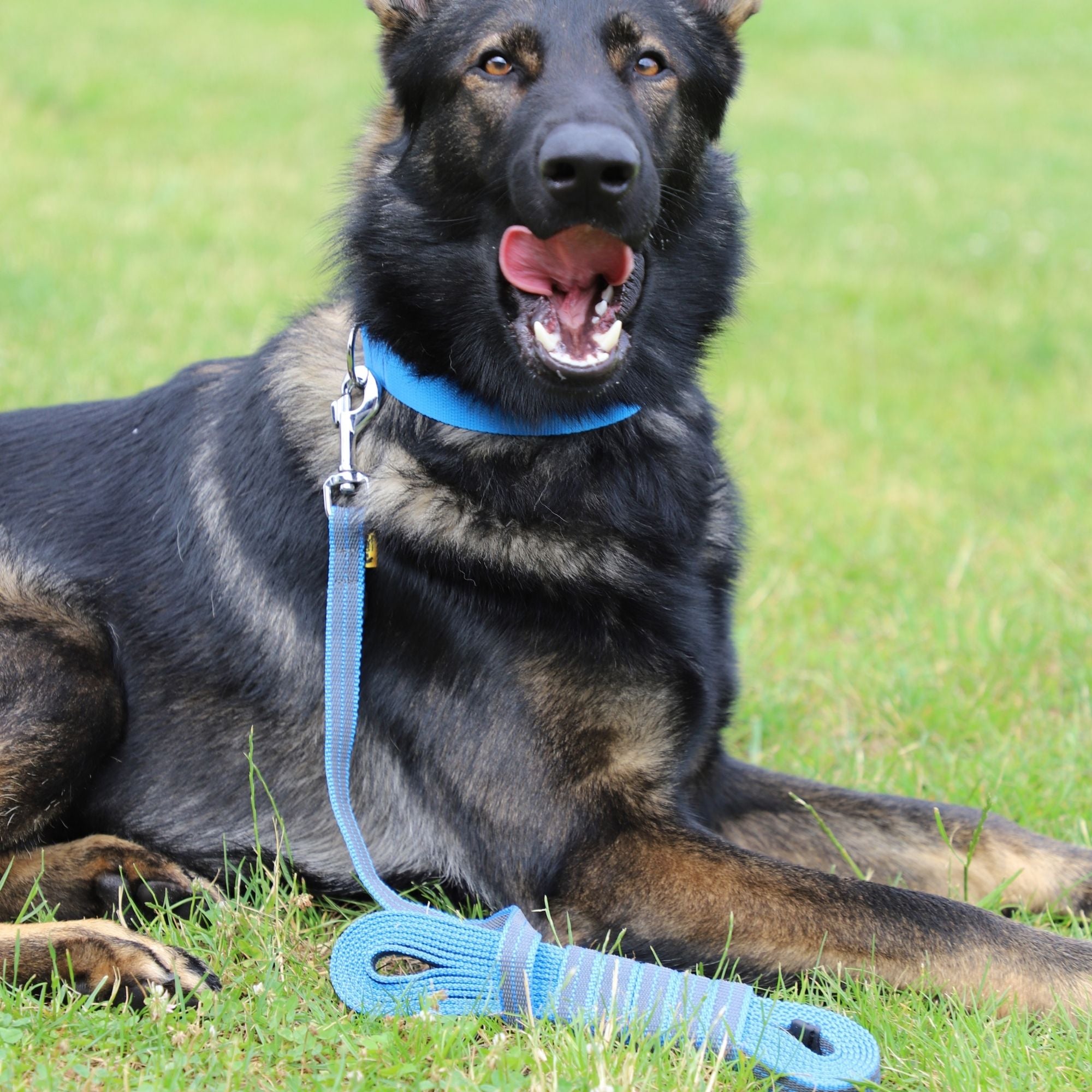 Lesă de antrenament cauciucată fără mâner