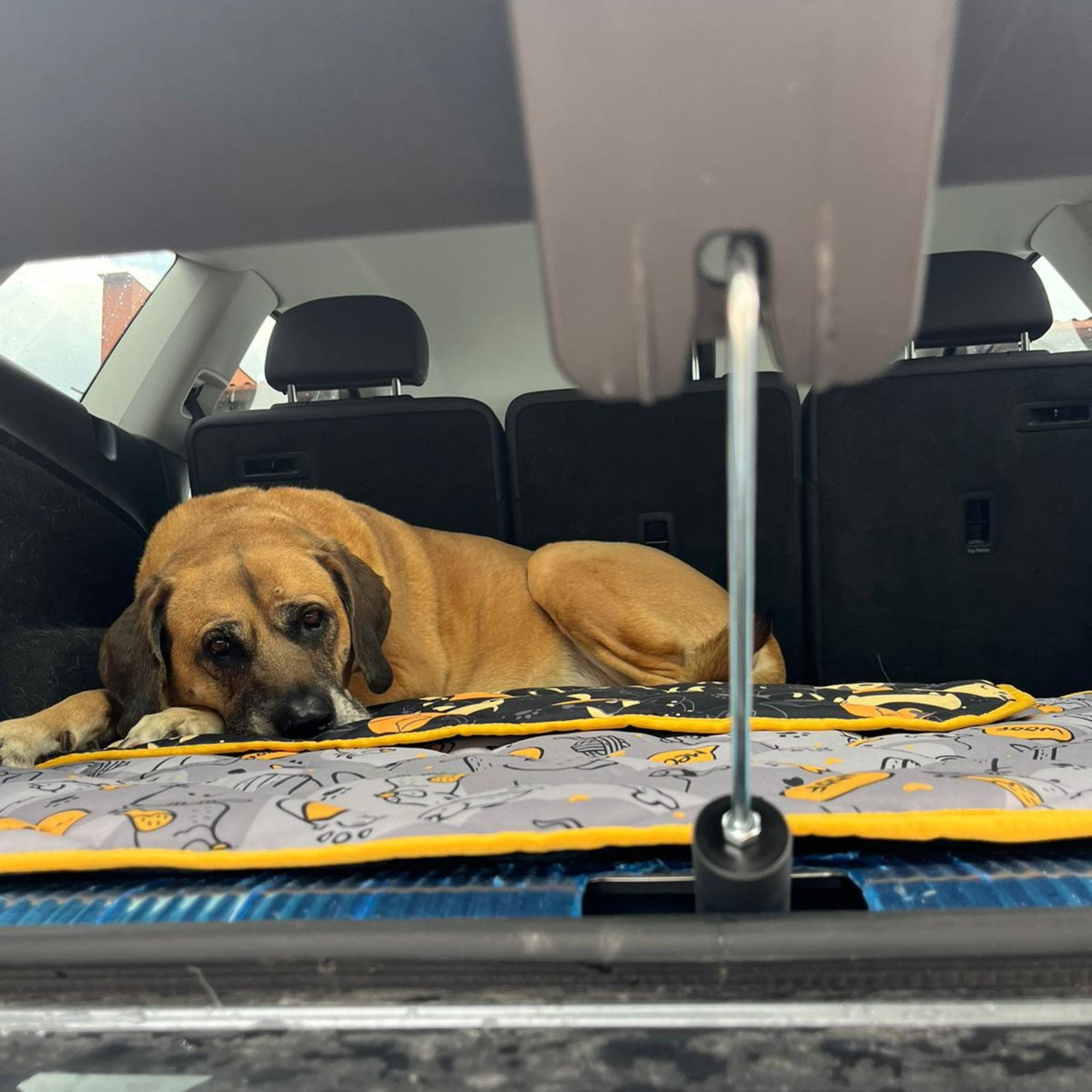 Blocator de ventilație pentru mașină