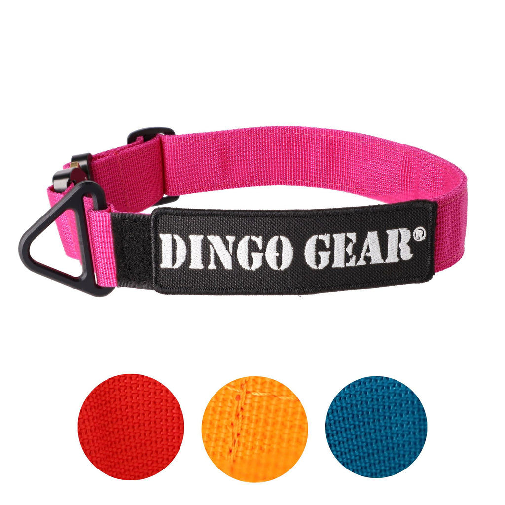 Dingo Gear – Zgardă tactică COBRA – din chingă de polipropilenă, fără mâner