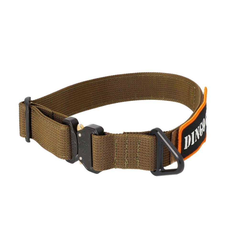 Dingo Gear – Zgardă tactică COBRA – Din chingă de polipropilenă, fără mâner