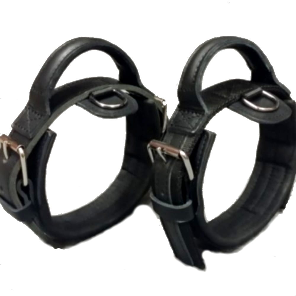 Dingo Gear – Zgardă HEROS – Din chingă de polipropilenă cu mâner