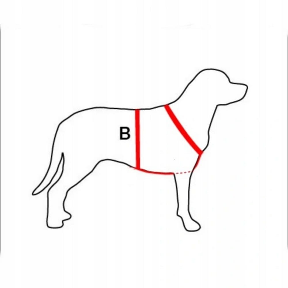 Dingo Gear – ham de lucru cu sistem COBRA