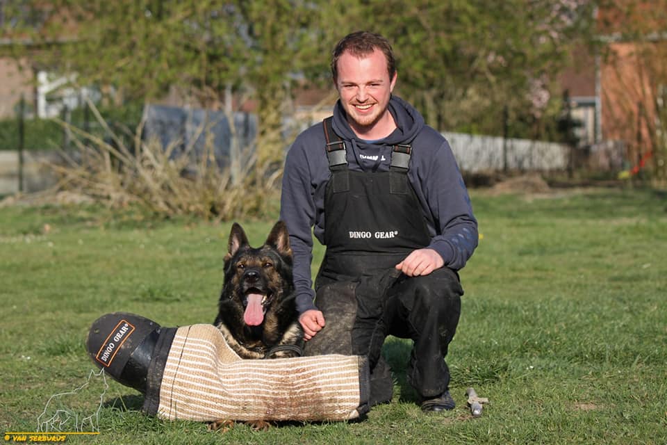 Dingo Gear ROCKY – manșon profilat cu zonă de mușcătură groasă