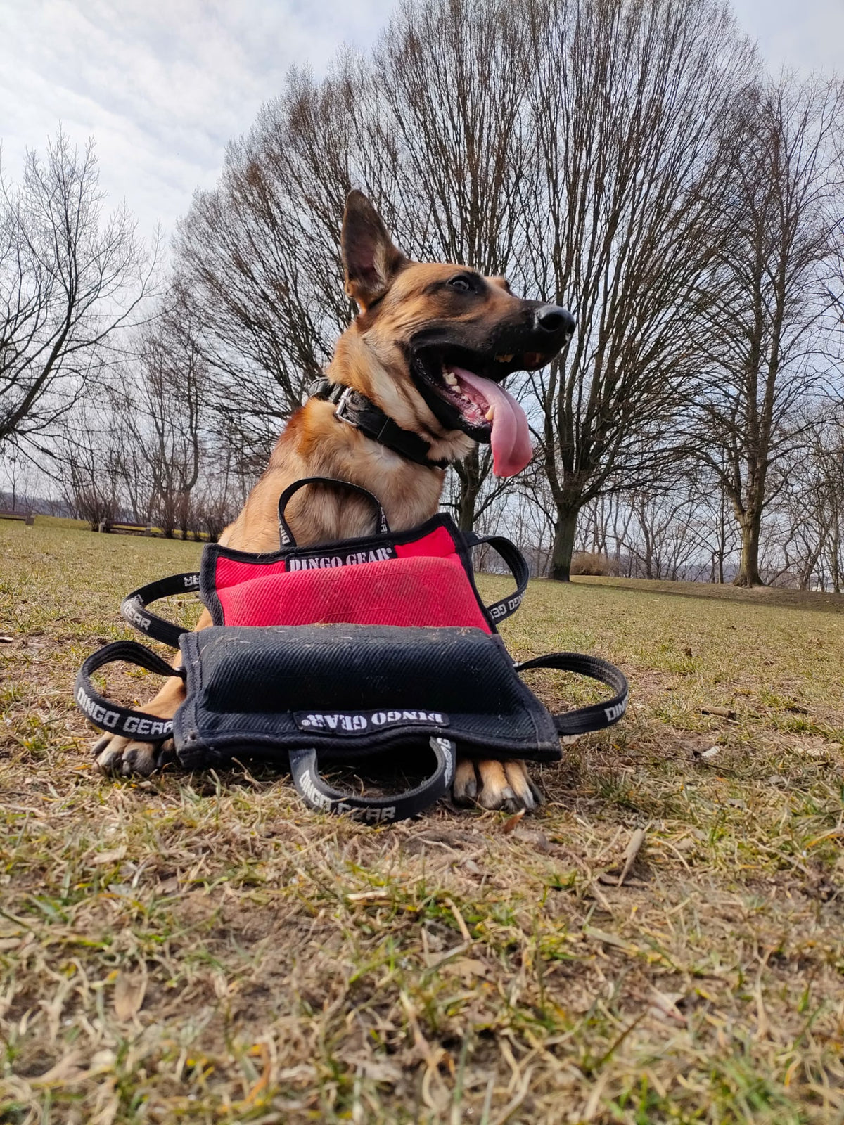 Dingo Gear – pană de mușcătură din Nylcot moale, mărime MEDIUM