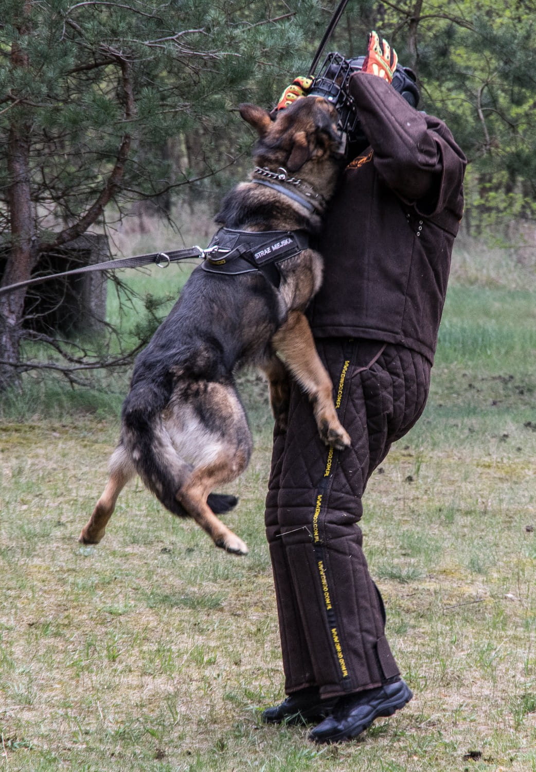 Dingo Gear – mască de protecție ușoară pentru figurant